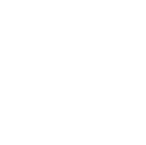 Diigima
